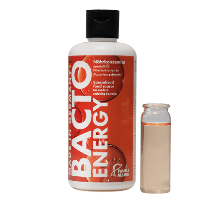 Bacto Energy 500 ml