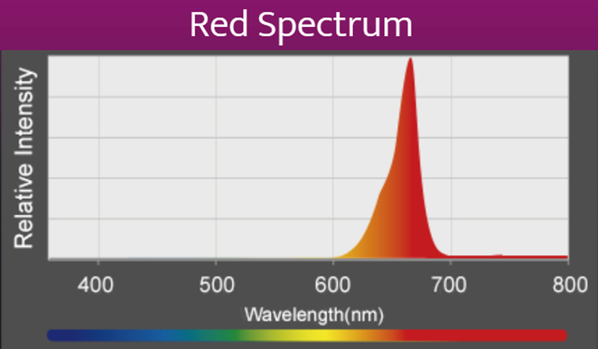 Kessil A360 X Refugium