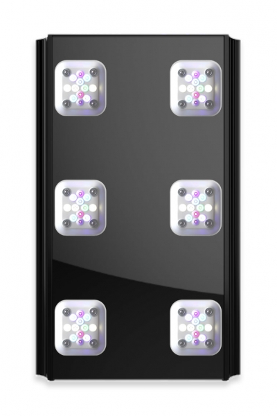 Mitras LX 7006 (Verleihartikel)