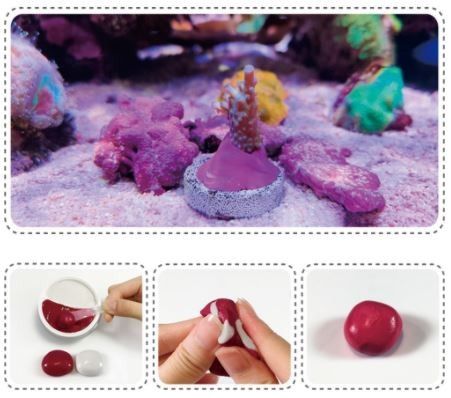 Coral Putty Korallenkleber