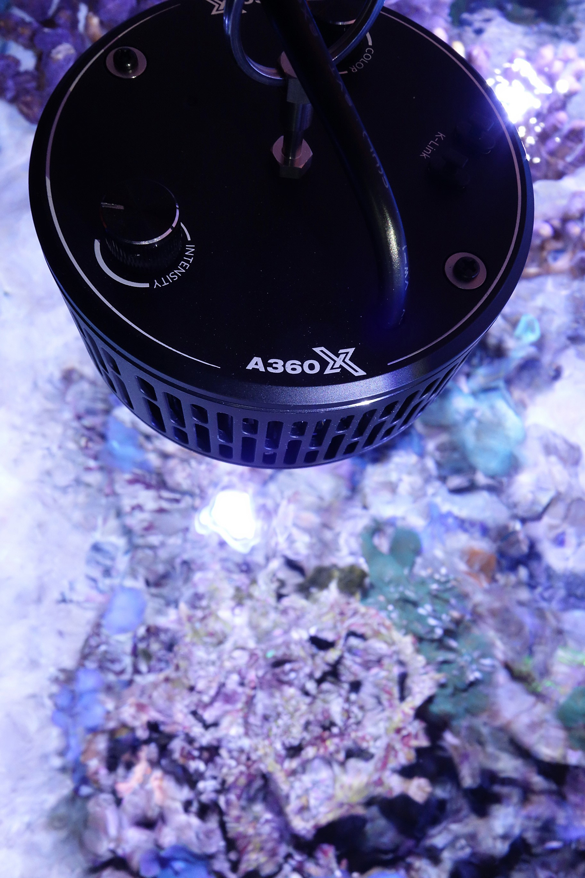 Kessil A360X Tuna Blue