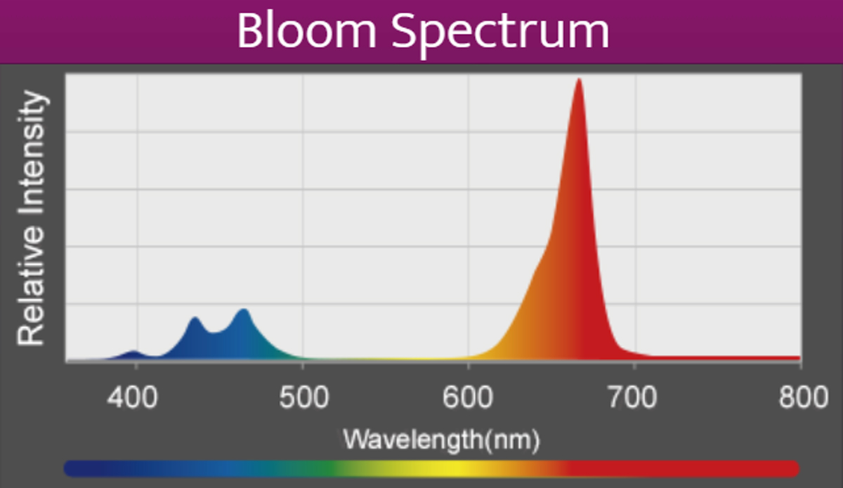 Kessil A360 X Refugium
