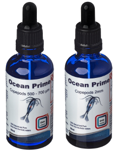 Ocean Prime Copepods 500-700µm